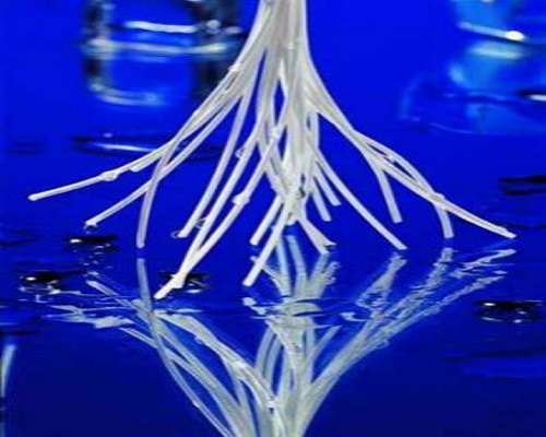 超濾膜絕對過濾精度多高?